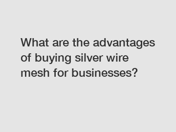 What are the advantages of buying silver wire mesh for businesses?