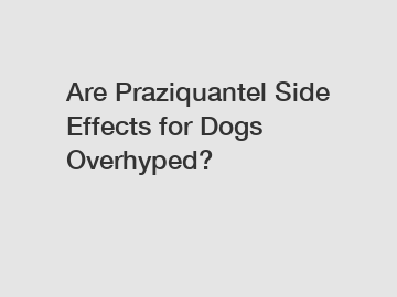 Are Praziquantel Side Effects for Dogs Overhyped?