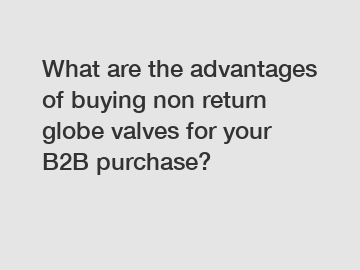 What are the advantages of buying non return globe valves for your B2B purchase?