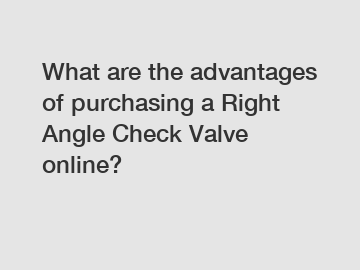 What are the advantages of purchasing a Right Angle Check Valve online?