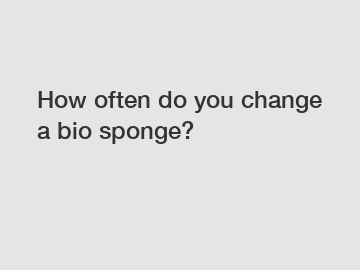 How often do you change a bio sponge?