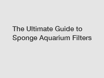 The Ultimate Guide to Sponge Aquarium Filters