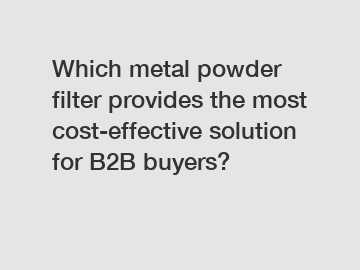 Which metal powder filter provides the most cost-effective solution for B2B buyers?