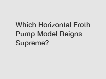 Which Horizontal Froth Pump Model Reigns Supreme?