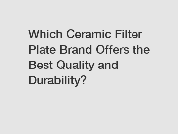 Which Ceramic Filter Plate Brand Offers the Best Quality and Durability?