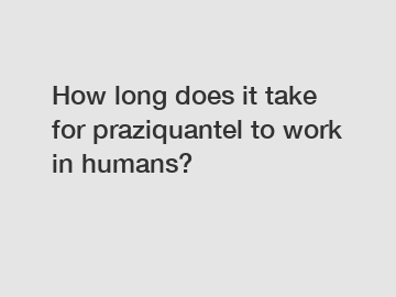 How long does it take for praziquantel to work in humans?