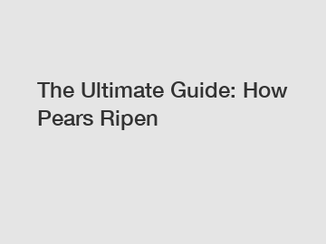 The Ultimate Guide: How Pears Ripen