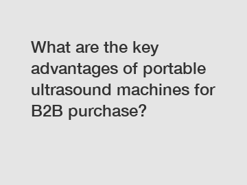 What are the key advantages of portable ultrasound machines for B2B purchase?