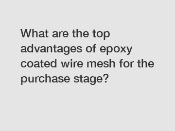 What are the top advantages of epoxy coated wire mesh for the purchase stage?