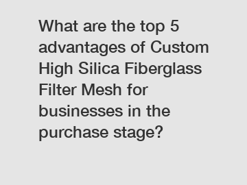 What are the top 5 advantages of Custom High Silica Fiberglass Filter Mesh for businesses in the purchase stage?